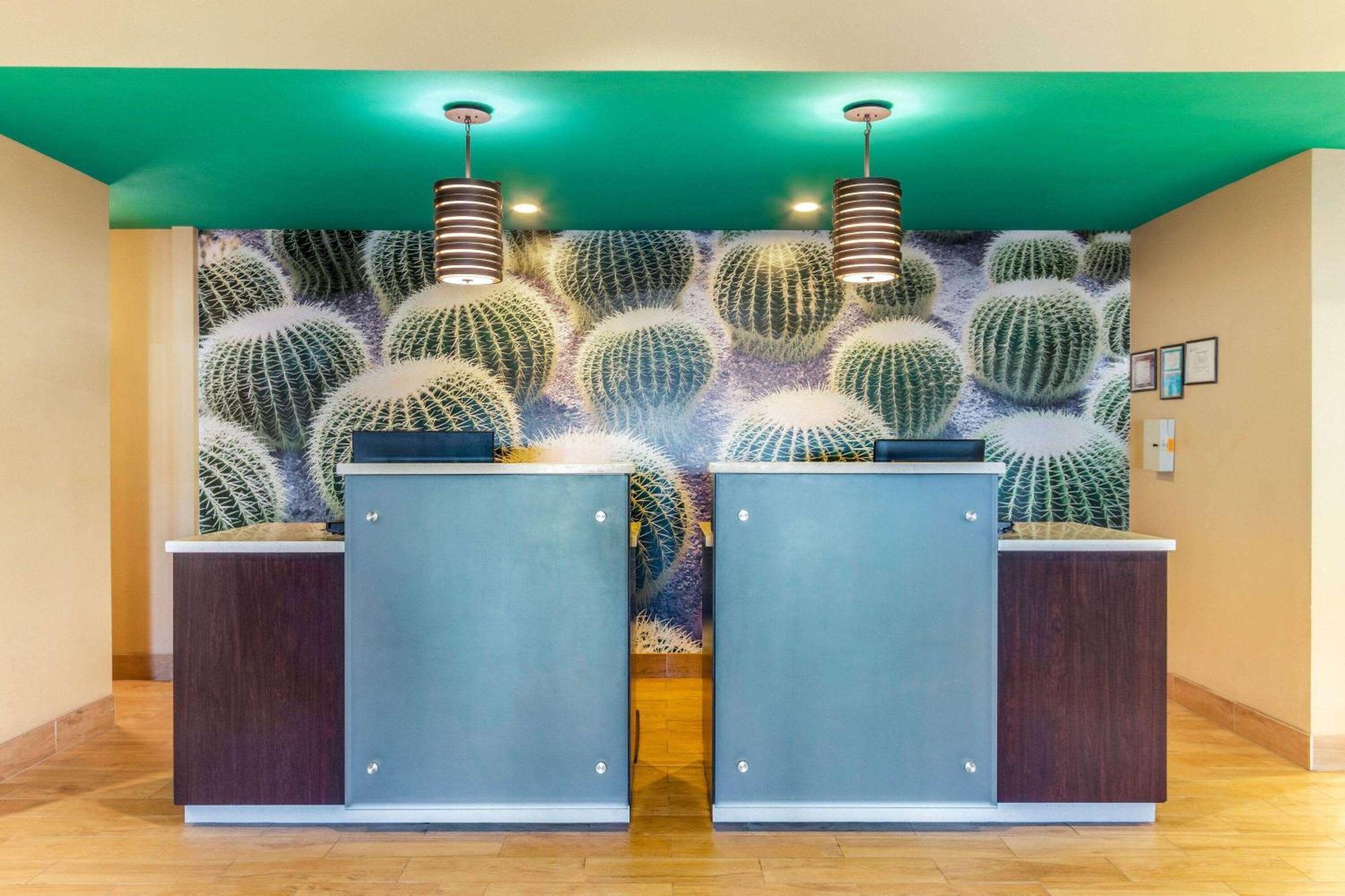 卡尔斯巴德温德姆拉昆塔套房酒店 外观 照片